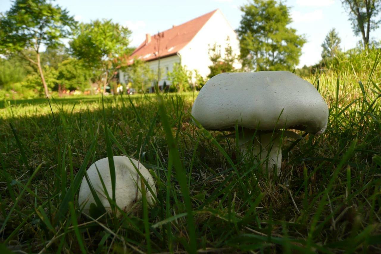 Miodowy Dwor Villa Rusinowo  Bagian luar foto